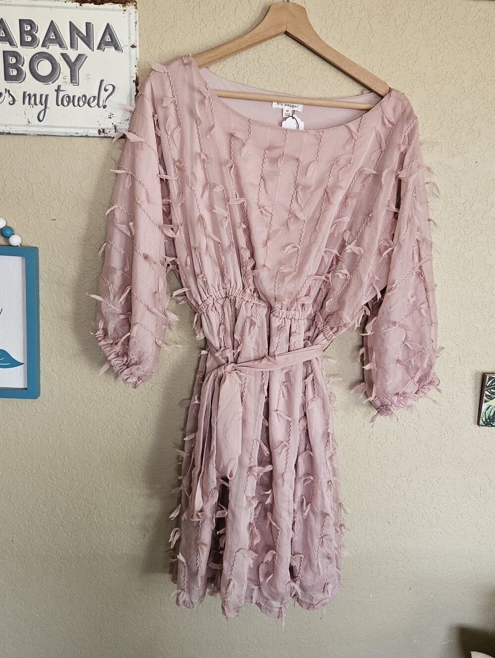 Eyelash Textured Chiffon Mini Dress Dusty Rose Whimsical Fairy Twee NEW - Picture 4 of 10